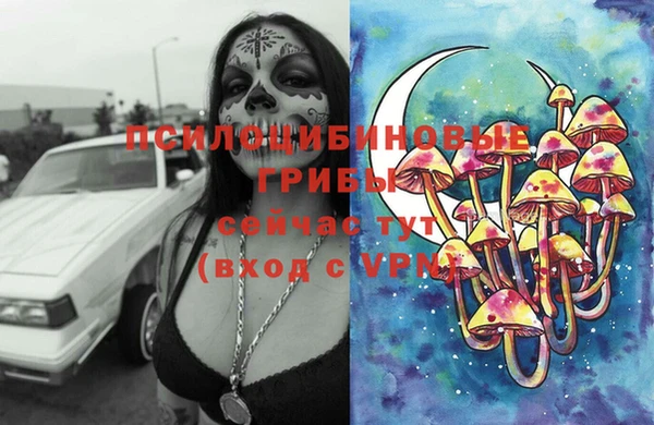 прущая мука Богданович