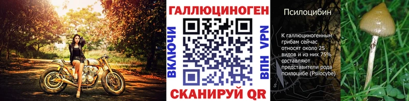 Галлюциногенные грибы прущие грибы  где найти наркотики  Долинск 